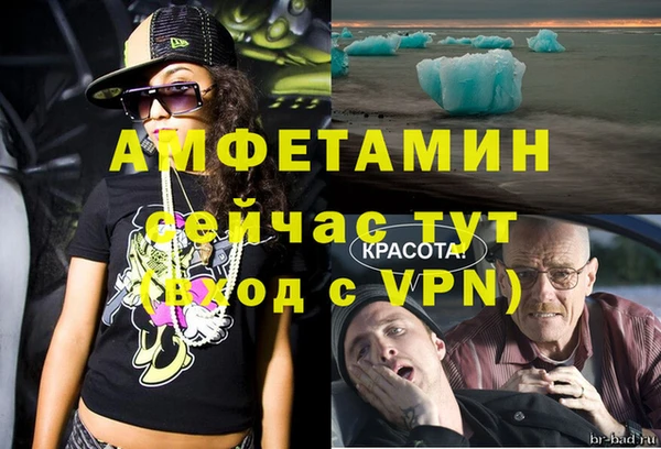 индика Елизово