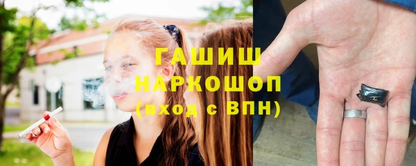индика Елизово