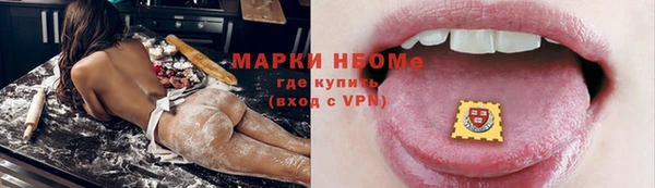 индика Елизово
