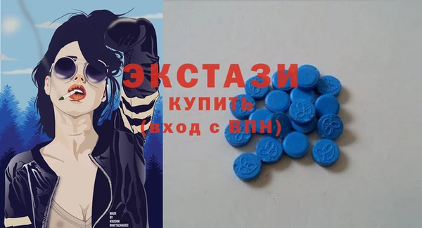 индика Елизово