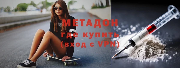 индика Елизово