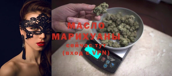 индика Елизово