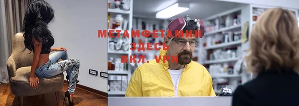 индика Елизово
