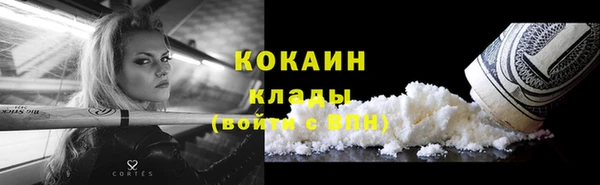 индика Елизово