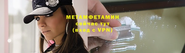 индика Елизово