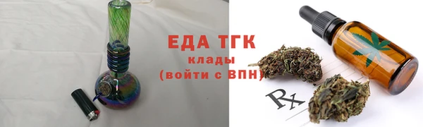 индика Елизово