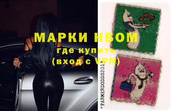 индика Елизово