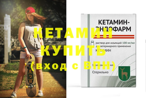 индика Елизово