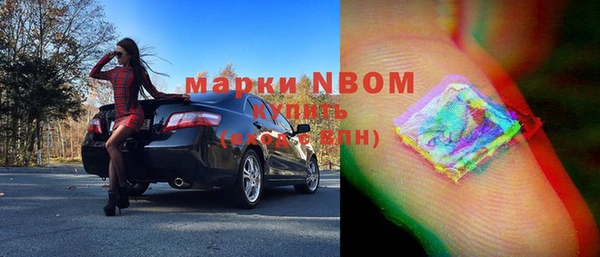 индика Елизово