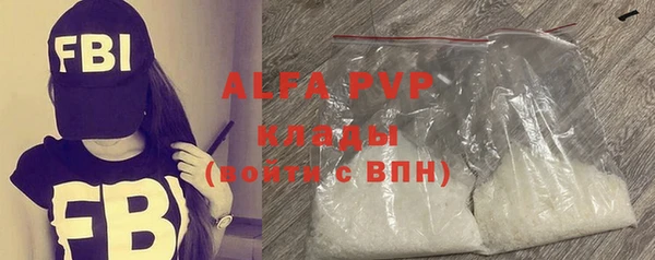 индика Елизово