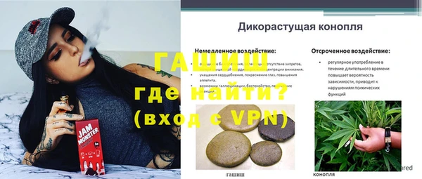 индика Елизово