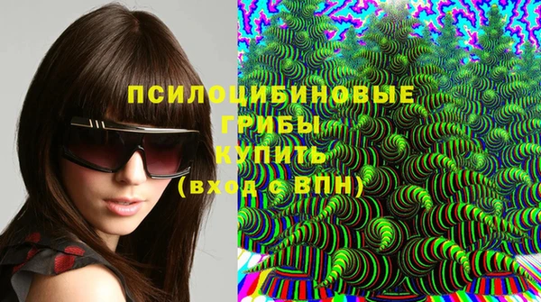 амфетамин Ельня